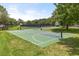 Outdoor basketball court with well-maintained green surface, surrounded by trees and green grass at 9644 Myrtle Creek Ln, Orlando, FL 32832