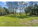 Expansive grassy backyard with mature trees creating a peaceful setting at 1189 Rib Ave, St Cloud, FL 34771