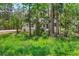 A white house with black trim is partially obscured by trees and lush greenery at 1394 Kettledrum Trl, Deltona, FL 32725