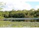 Scenic lake view with lush greenery and a tranquil, natural setting at 2901 Autumnwood Trl, Apopka, FL 32703