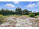 A large lot featuring lush greenery and mature trees providing privacy in a desirable neighborhood at 6327 Ridgeberry Dr, Orlando, FL 32819