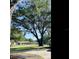 Spacious front yard featuring a mature tree at 965 Brentwood Dr, Apopka, FL 32712