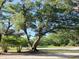 Beautiful front yard featuring mature trees and lush landscaping at 965 Brentwood Dr, Apopka, FL 32712