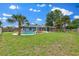 Expansive backyard featuring a large in-ground pool, screened lanai, pergola, and mature trees at 969 Gran Paseo Dr, Orlando, FL 32825