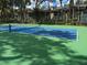 Pickleball court with green and blue surface, surrounded by lush trees at 1074 Kensington Park Ct # 101, Altamonte Springs, FL 32714