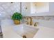 Bathroom sink with gold fixtures and a decorative plant at 13791 Abberwick Dr, Orlando, FL 32832