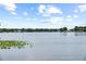 Scenic lake view featuring calm water, distant shoreline, and natural aquatic vegetation at 1602 Alabama Dr # Ph404, Winter Park, FL 32789