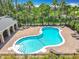 Community pool with beach entry, surrounding palm trees, and lounge chairs at 16724 Cedar Crest Dr, Orlando, FL 32828