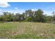View of spacious backyard of home surrounded by mature trees and blue sky at 16904 Sw 30Th Avenue Rd, Ocala, FL 34473