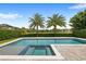 Resort-style pool with a spa, featuring two palm trees and a view of neighboring houses behind a tall, manicured green hedge at 11707 Hampstead St, Windermere, FL 34786