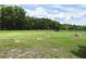 Expansive, fenced backyard, perfect for outdoor activities and enjoying the serene natural surroundings at 1508 Lake Mills Rd, Chuluota, FL 32766