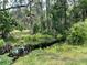 Scenic creek flowing through a lush, wooded area with diverse plant life, providing a tranquil nature view at 1508 Lake Mills Rd, Chuluota, FL 32766