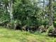 Peaceful creek flowing through a wooded area with a Great Egret, creating a serene and natural setting at 1508 Lake Mills Rd, Chuluota, FL 32766