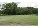 Open grassy area enclosed by a fence, offering a vast outdoor space perfect for various activities and landscaping at 1508 Lake Mills Rd, Chuluota, FL 32766