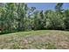 Expansive backyard featuring a lush lawn and surrounding mature trees at 183 Parsons Rd, Longwood, FL 32779