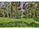 Lush backyard with tall palms and mature trees, offering a serene and private outdoor space on a sunny day at 183 Parsons Rd, Longwood, FL 32779