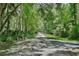 Long private driveway surrounded by lush greenery and mature trees, leading to the property at 183 Parsons Rd, Longwood, FL 32779