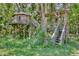 Rustic treehouse featuring elevated platforms and wooden stairs, nestled amongst trees and lush greenery at 183 Parsons Rd, Longwood, FL 32779