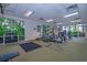 Well-equipped gym featuring treadmills, weights, and ample natural light at 3019 White Orchid Rd, Kissimmee, FL 34747