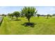Beautiful backyard with mature trees offers a serene and spacious outdoor setting at 3630 Trimaran Dr, Orlando, FL 32820