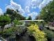Lush backyard filled with diverse potted plants, creating a serene and inviting outdoor space at 40431 Country Rd, Eustis, FL 32736