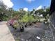 A beautiful backyard showcasing vibrant potted plants and manicured gravel area at 40431 Country Rd, Eustis, FL 32736