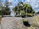 Charming backyard featuring a quaint home, lush greenery, and a variety of potted plants at 40431 Country Rd, Eustis, FL 32736