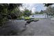 Outdoor space with greenery, featuring various potted plants around a white building and open space at 40431 Country Rd, Eustis, FL 32736