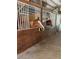 Indoor horse stall, with one horse looking out and another horse in the background, the wooden beams are visible at 98 Wisteria Dr, Longwood, FL 32779
