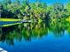 A large pond with crystal clear blue waters and reflections, framed by lush greenery and palm trees with gazebo in the distance at 98 Wisteria Dr, Longwood, FL 32779
