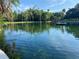 Clear, pristine pond surrounded by lush greenery and tall palm trees, creating a serene oasis. Dock in the distance at 98 Wisteria Dr, Longwood, FL 32779