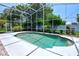 Sparkling in-ground pool with a screened enclosure, surrounded by lush landscaping at 1676 Bear Crossing Cir, Apopka, FL 32703