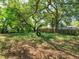Lush backyard features mature trees and tire swing at 3524 Amigos Ave, Orlando, FL 32808