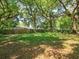 Large backyard with mature trees and tire swing at 3524 Amigos Ave, Orlando, FL 32808