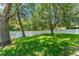 Expansive backyard featuring lush green grass and mature shade trees with a privacy fence at 476 Basking Ridge Ct, Ocoee, FL 34761