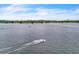 Aerial view of the wakeboarding lake, featuring cable system and wakeboarder gliding across the water at 8518 Nemours Pkwy, Orlando, FL 32827