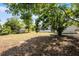 The backyard of the home has a large tree providing shade, partial fence, and a building in the distance at 1859 Matterhorn Dr, Orlando, FL 32818