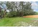 Spacious backyard featuring a well-manicured lawn, mature trees, and privacy fence at 1077 Dees Dr, Oviedo, FL 32765