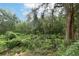 Lush landscape featuring an abundance of trees, plants, and greenery in a serene outdoor setting at 1077 Dees Dr, Oviedo, FL 32765