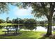 Scenic pond view featuring a picnic table under a shade tree by the water's edge at 1077 Dees Dr, Oviedo, FL 32765
