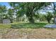 Spacious backyard featuring lush green grass, mature trees, and a storage shed at 11520 Churchill St, Orlando, FL 32817