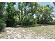 View of home backyard with grass and a few trees and plants and a fence in the background at 1947 Vienna Ave, Deltona, FL 32725