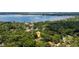 An aerial view shows location near the lake surrounded by a canopy of mature trees at 2009 Woody Dr, Windermere, FL 34786