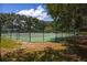 Outdoor tennis court that has a green surface and green fence surrounded by mature trees at 2009 Woody Dr, Windermere, FL 34786