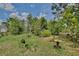 The backyard has ample green space with diverse landscaping and features, creating a serene outdoor setting at 3029 Bransbury Ct, Kissimmee, FL 34747