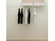 Bright closet with hanging clothes, wire shelving, and storage baskets at 773 Tundra Loop, Groveland, FL 34736