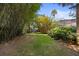 Private backyard featuring lush greenery, bamboo and mature trees, a serene outdoor retreat at 1107 Almond Tree Cir, Orlando, FL 32835