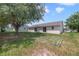 Backyard featuring a mature tree and plenty of green space at 160 Conch Dr, Kissimmee, FL 34759