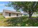 View of the home's backyard with a mature shade tree at 160 Conch Dr, Kissimmee, FL 34759