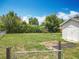 Large, grassy backyard with shed and blue skies, great for outdoor activities at 221 Golden Days Dr, Casselberry, FL 32707